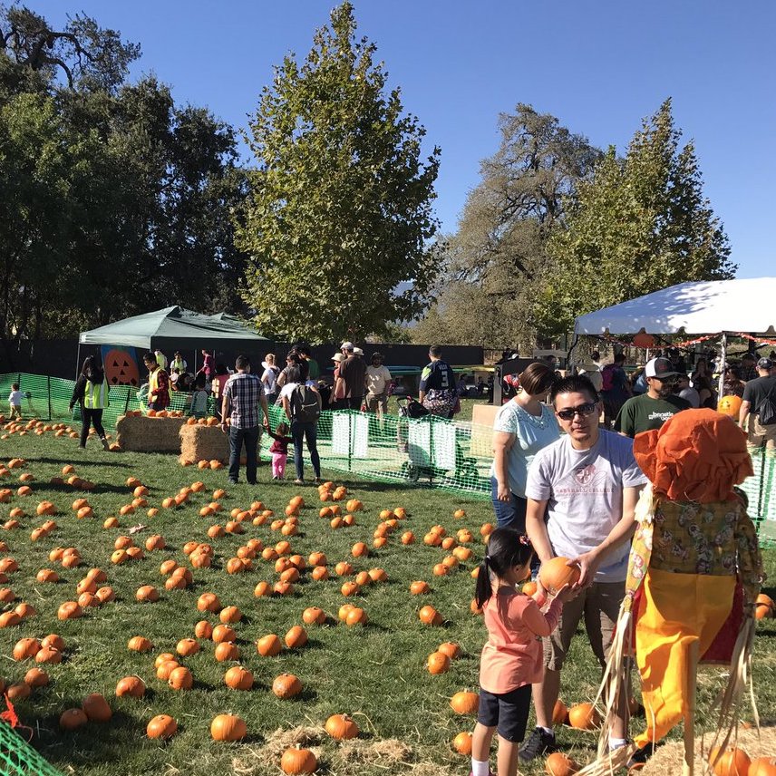 Harvest Festival San Jose, CA on Sat Oct 6 at Martial Cottle Park