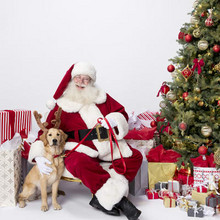 Thu Dec 7
