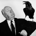 The Birds