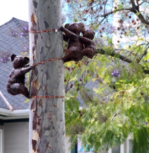 Metal Koalas Metal Koalas