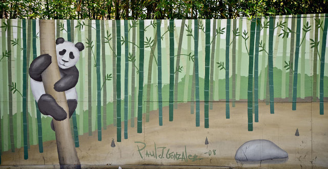 A Forest of Bamboo