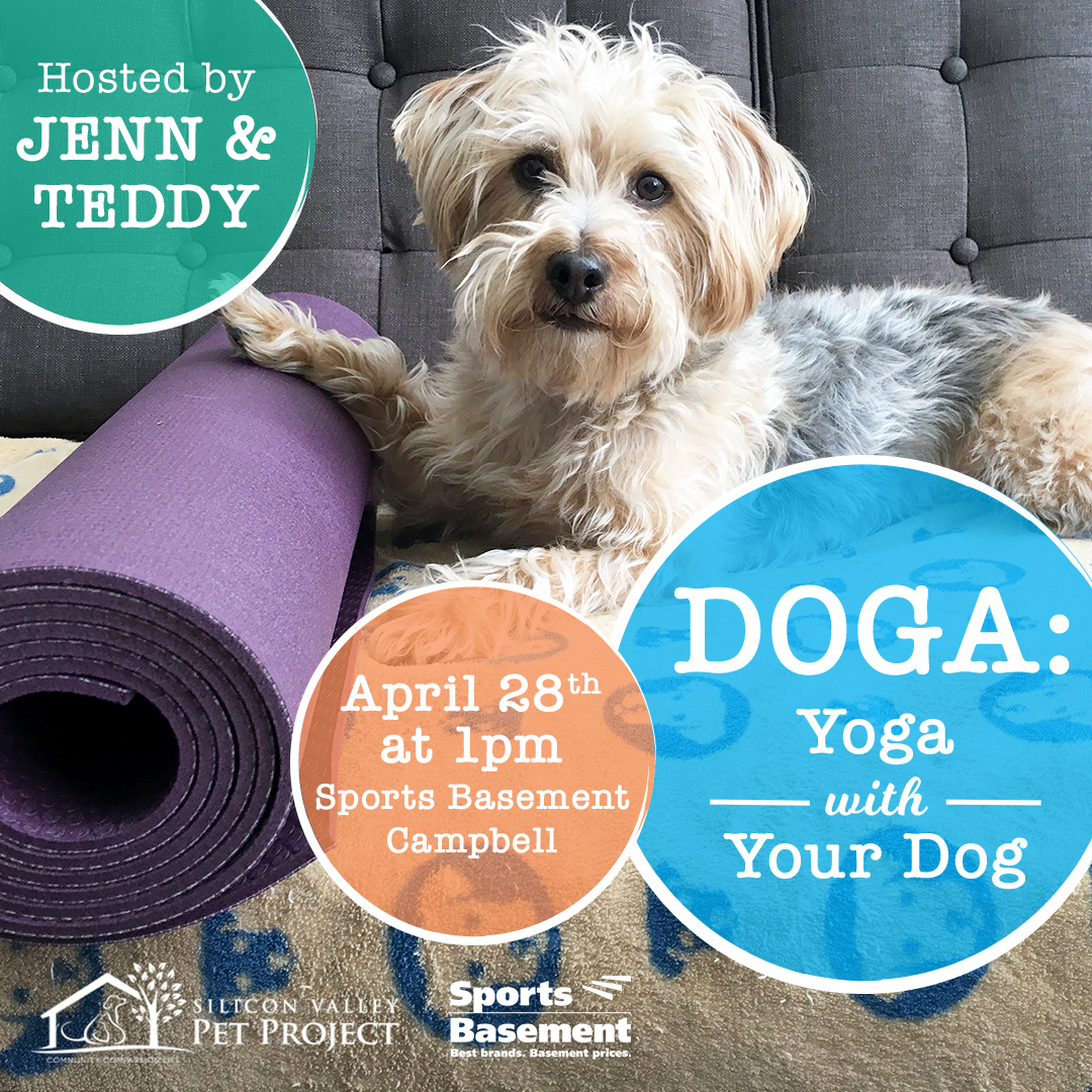Doga (doggy yoga!) at Sports Basement Campbell Campbell, CA on Sat