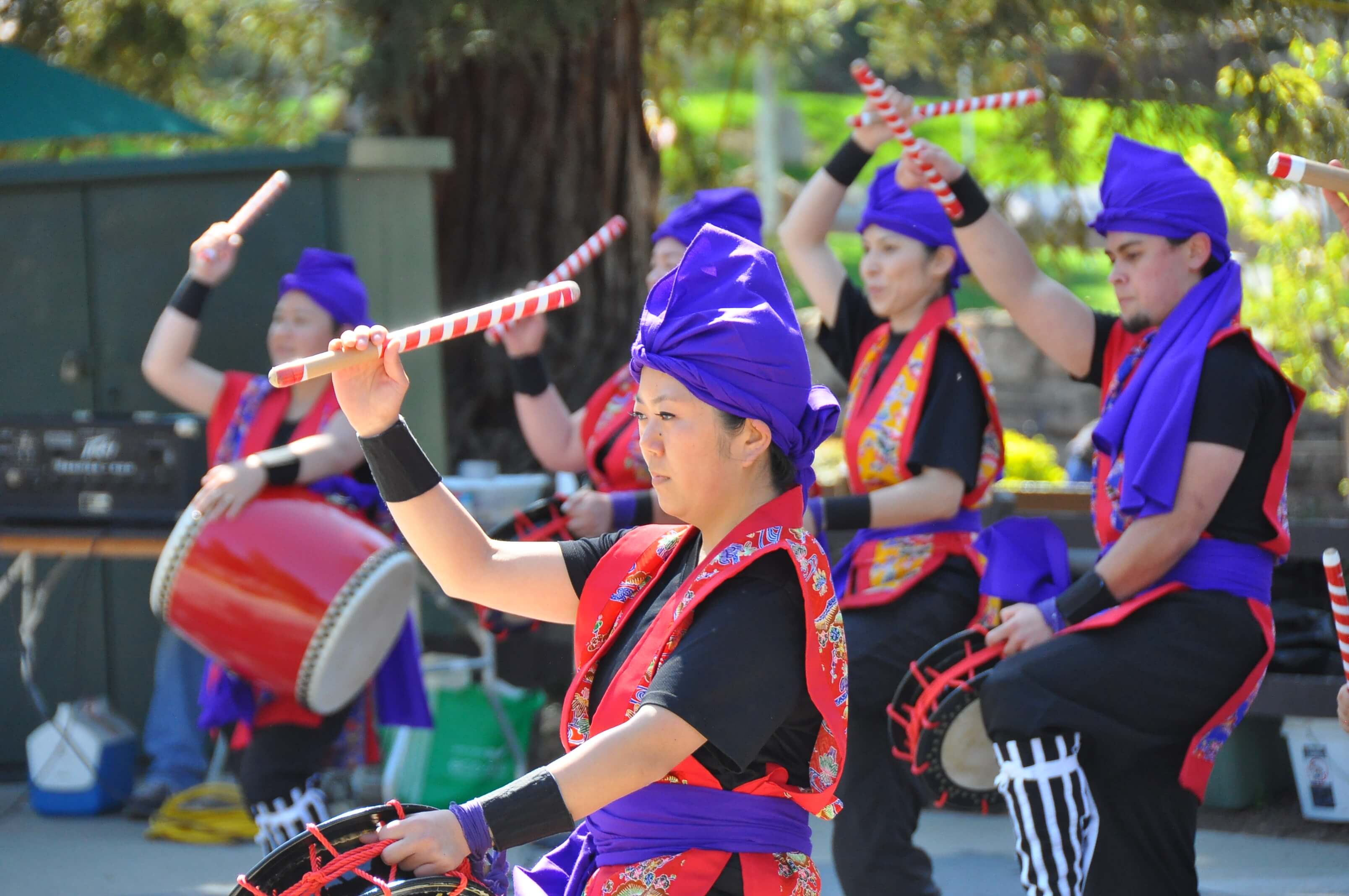 2018 Cupertino Cherry Blossom Festival Cupertino, CA at Cupertino