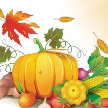 Harvest festival san jose coupon