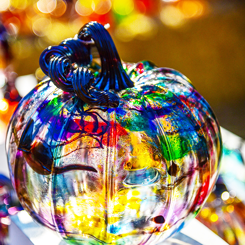 Magical Glass Pumpkin Patch Los Gatos, CA at Los Gatos High School