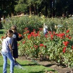 Municipal Rose Garden: The Best