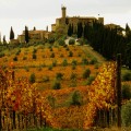 Castello Banfi.