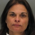 Micheline Johnson allegedly stole $500,000 by taking the credit card info of travelers at Mineta San Jose International Airport.