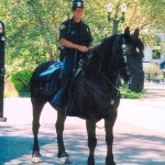 A fundraiser is being planned to save the San Jose Mounted Unit through 2012.