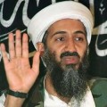 Osama bin Laden, the the leader of al-Qaeda, was shot and killed Sunday.