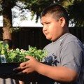 With few healthy food options in some San Jose neighborhoods, residents are taking matters into their own hands with a private gardening program, La Mesa Verde, out of Sacred Heart Community Service. (Photo courtesy of Sacred Heart Community Service)