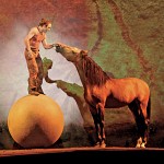 Forty-Seven horses will travel to San Jose for Cavalia.