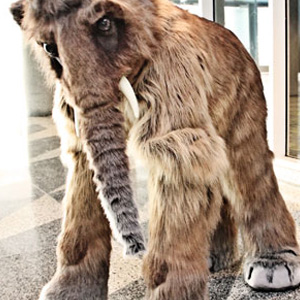 Look Out! FurCon 2013 Takes over San Jose