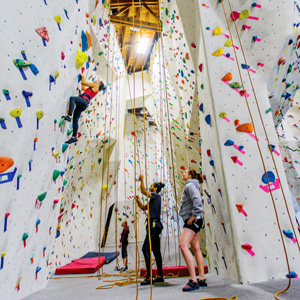 Indoor Rock Climbing in the Bay Area