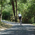 A biker on Los Gatos Creek Trail.
