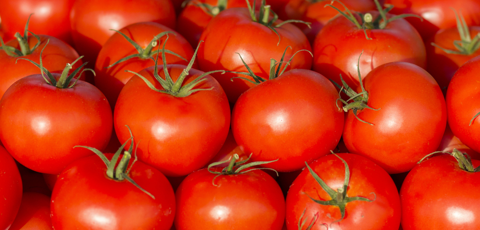 farmersmarkets-featured