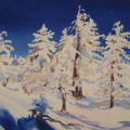 Maria Klawe is a painter, mathematician and scientist. Her painting, ‘Snow, Trees and Shadows,’ is one of many on display at the Community School of Music and Arts.