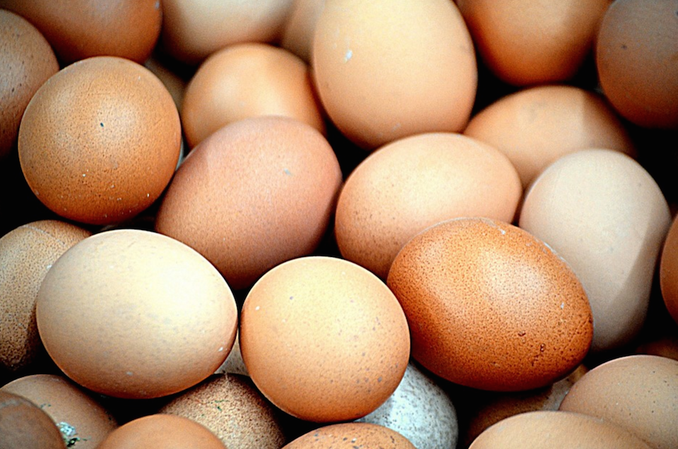 Cracking a Few Eggs: A Guide to Making Eggs Every Which Way