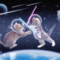 CatsinSpace.Photo