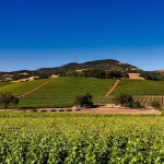 Napa Valley faces concerns of unsustainable growth in its agriculture industry.