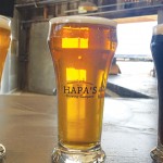 New bring-your-own-food brewery and taproom currently offers a blond ale, an IPA and a mocha porter.