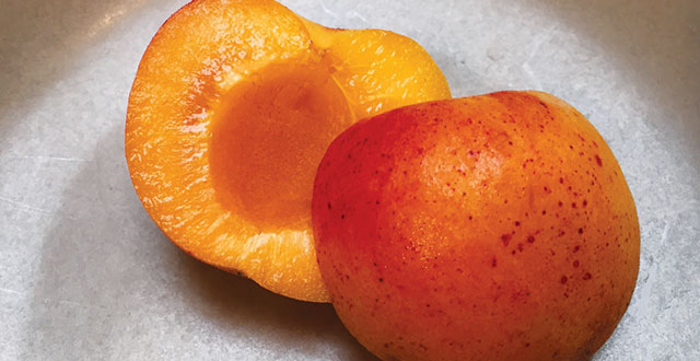 This 4th of July, Celebrate with Apricots—the Santa Clara Valley’s original export