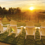VERDE VARIETALS: Verde Vineyards’ 12 acres of grapevines yield fruit for wines of all shades.